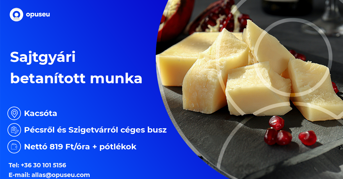 Sajtgyári betanított munka
