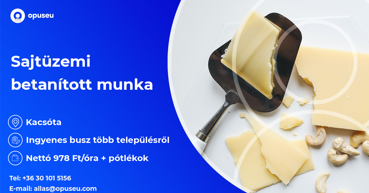 Sajtgyári betanított munka