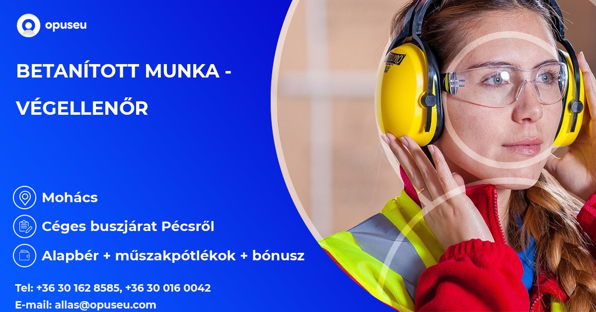 Betanított munka - Végellenőr