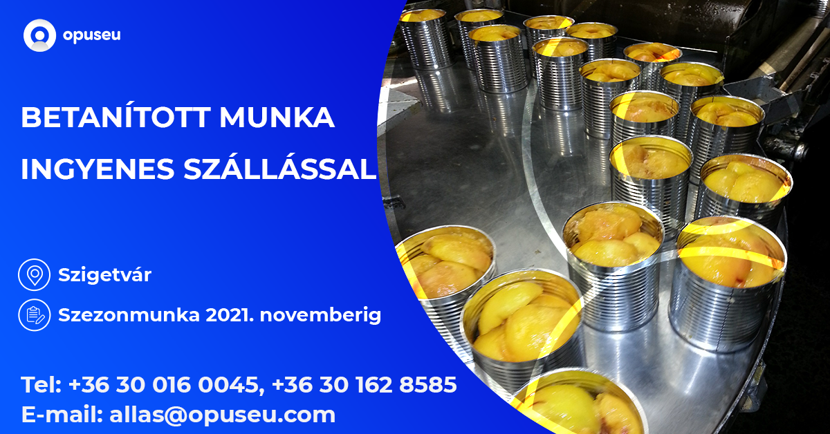 Betanított munka - ingyenes szállással